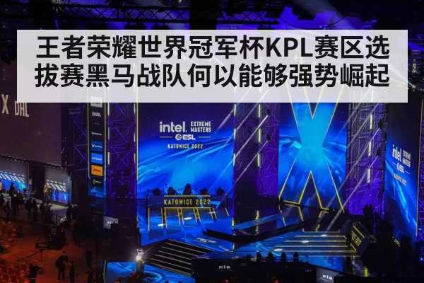 王者荣耀世界冠军杯KPL赛区选拔赛黑马战队何以能够强势崛起