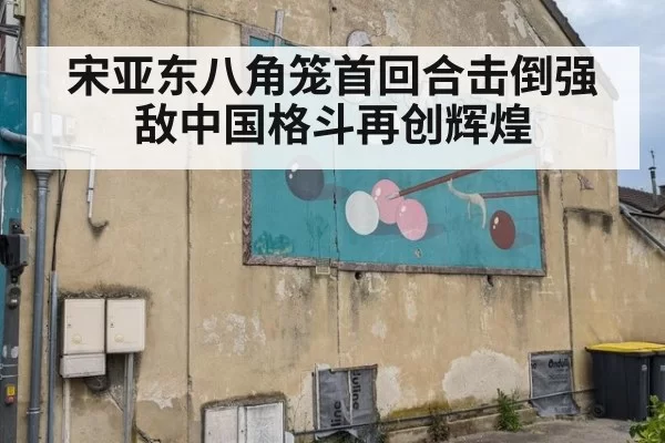 宋亚东八角笼首回合击倒强敌中国格斗再创辉煌