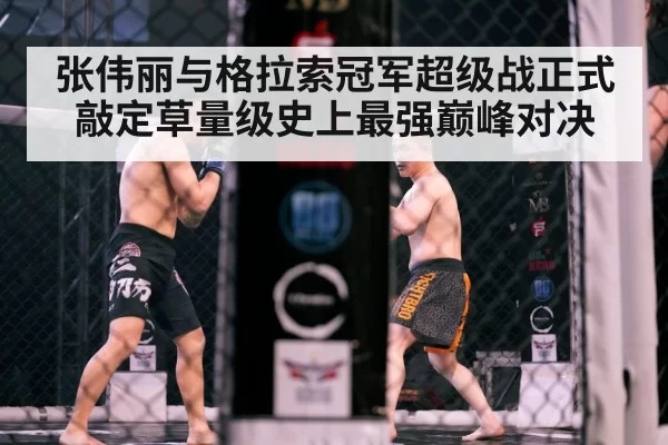 Zhang Weili fighting